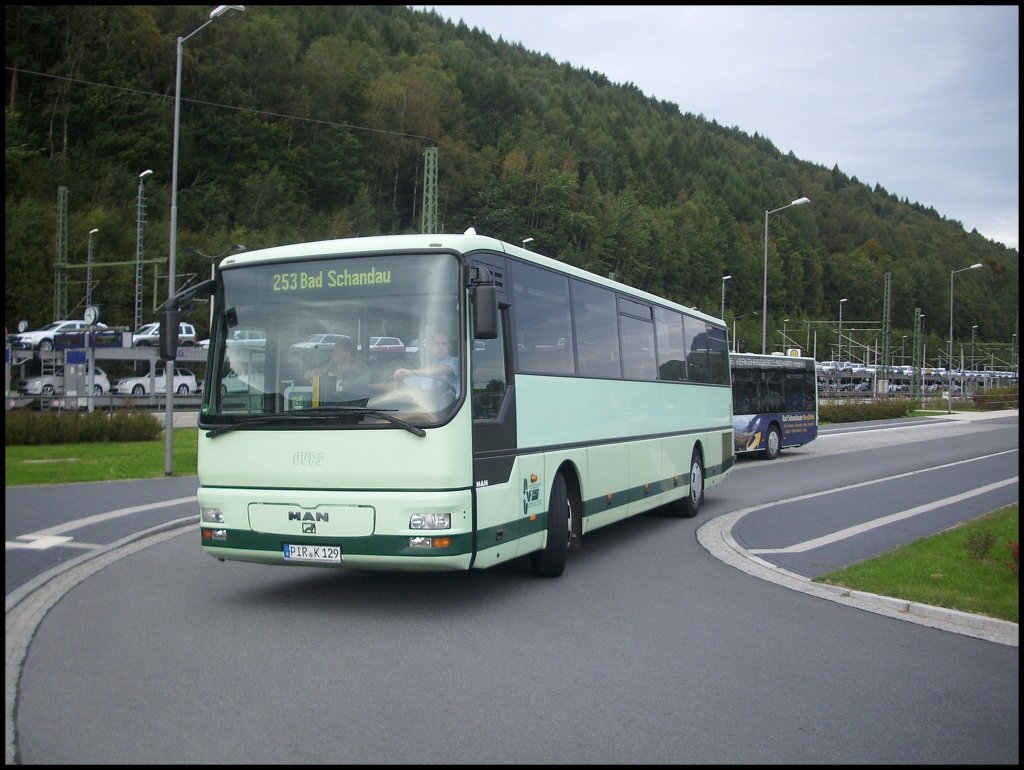 MAN �L 313 der Oberelbische Verkehrsgesellschaft in Bad Schandau.