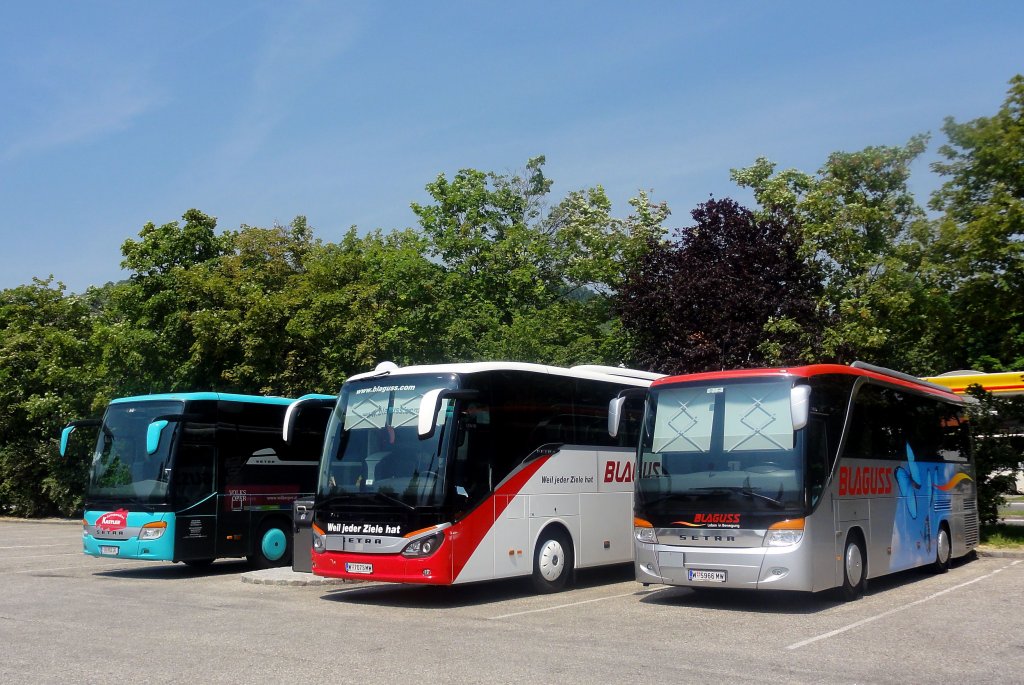  Starke  SETRAS:re Blaguss 411 HD,dann der neue 515 HD von Blaguss und links der Setra 415 GT-HD von Kastler/�sterreich,Krems am 19.6.2013.