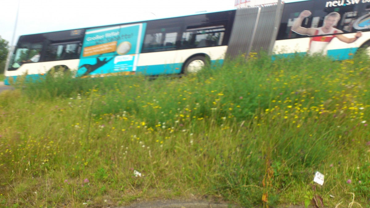 Der Citaro NB SW 588....bischen verschwommen das bild mit dem trafficboard für's fitflat
die werbung ist von den beiden Fahrzeugen wo es zusehen war schon wieder entfernt worden