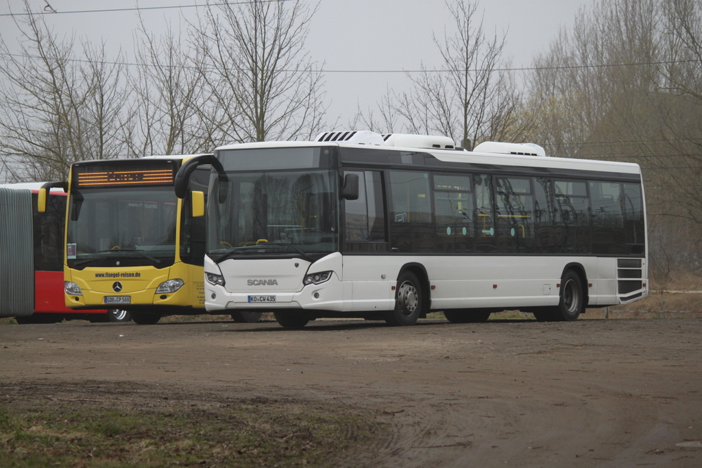der Scania Citywide und Mercedes-Benz Citaro III (C2)standen am Vormittag des 23.03.2019 in Rostock-Marienehe.