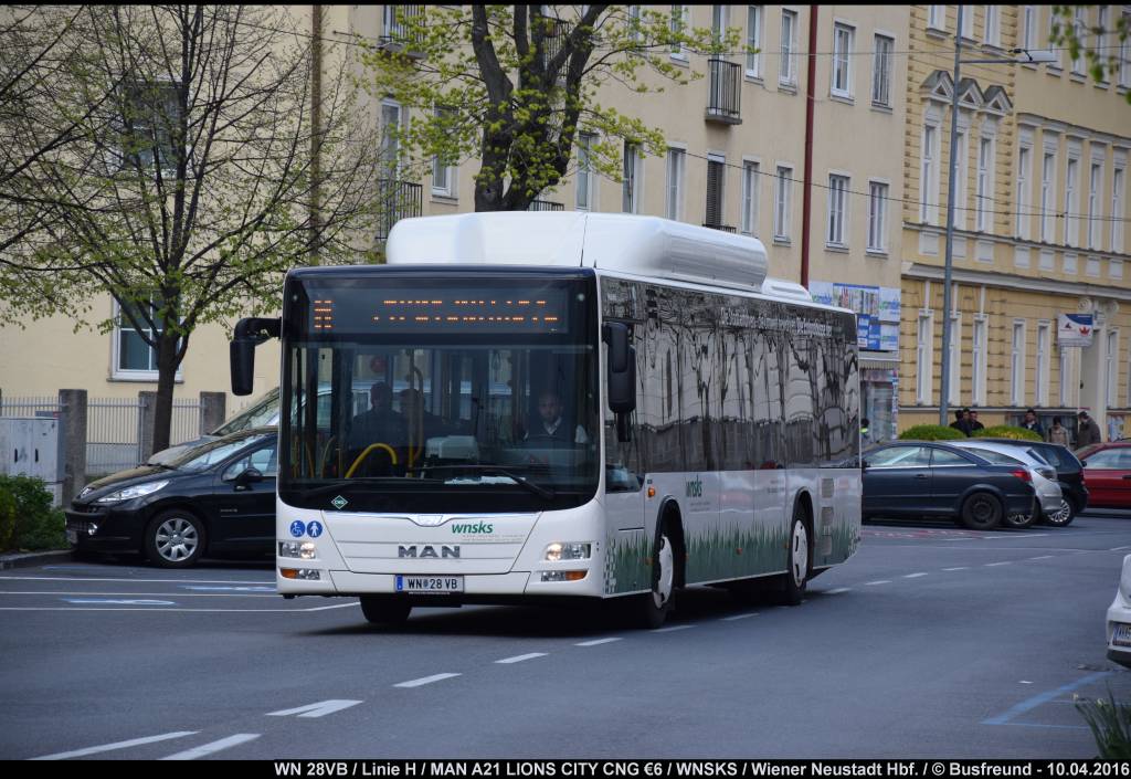 Ein MAN A21 LIONS CITY CNG der WNSKS unterwegs Richtung Hbf. (N�).