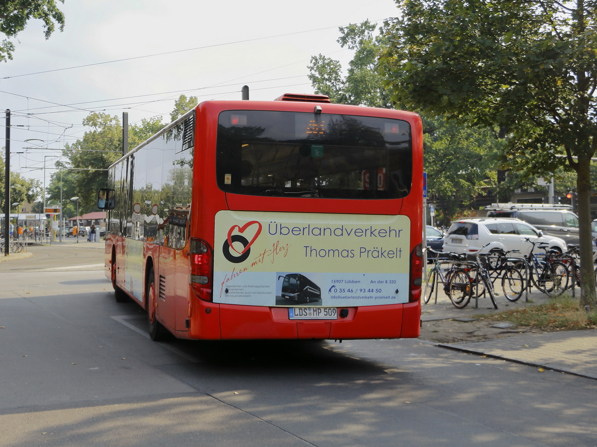 Heckpartie eines Setra S 300er-Serie NF als Linie 273 nahe dem S-Bahnhof Gr�nau am 26. August 2019.