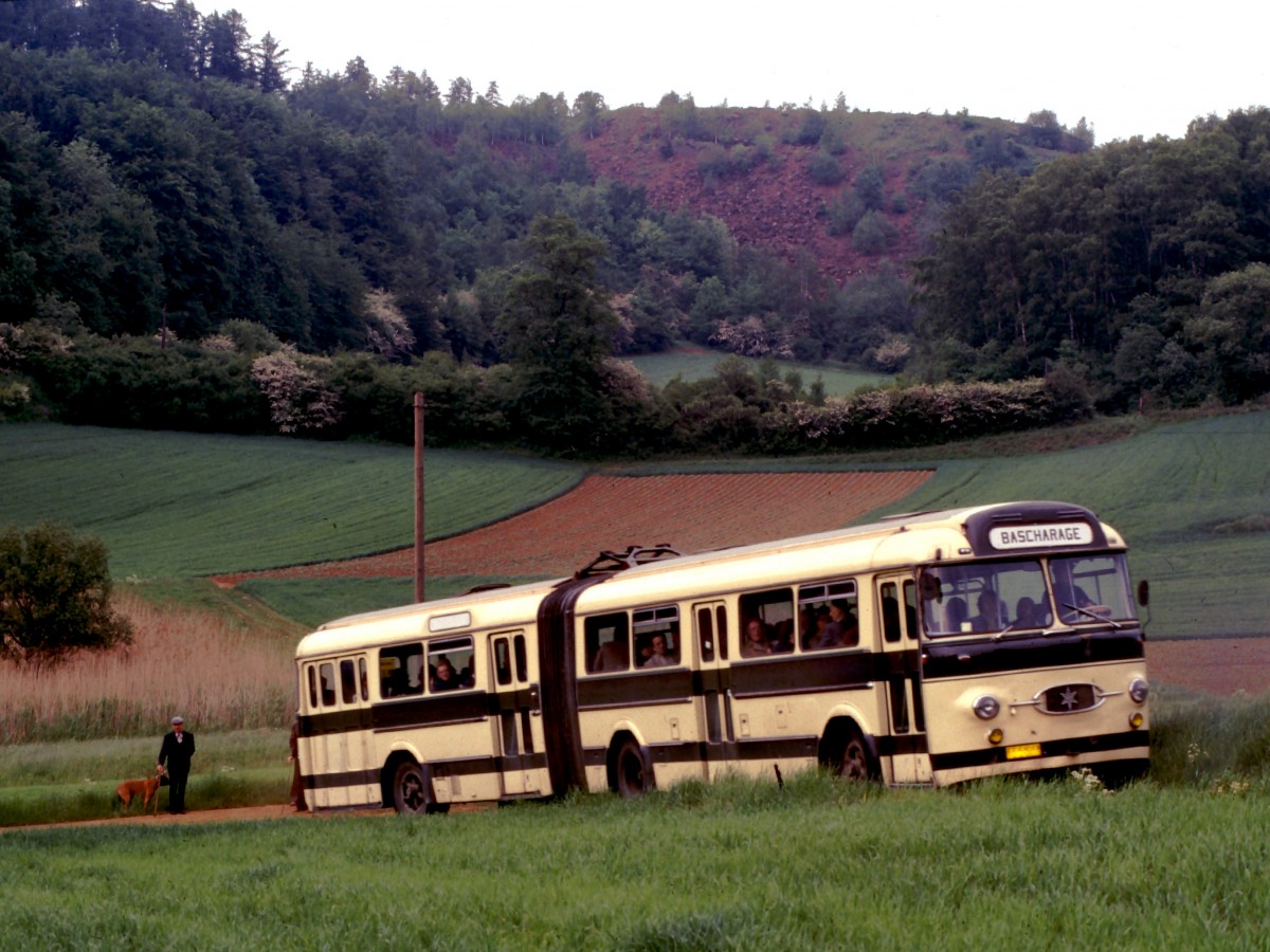 Luxemburg, Lamadelaine, Henschel HS 160 USL-G Gelenkbus. Dieser Bus bringt auf schmalen Wegen die Fahrg�ste der Museumsbahn Fond-de-Gras zum ehemaligen Terminus  Fuussb�sch . Scan eines Dias aus dem Jahr 1976. 