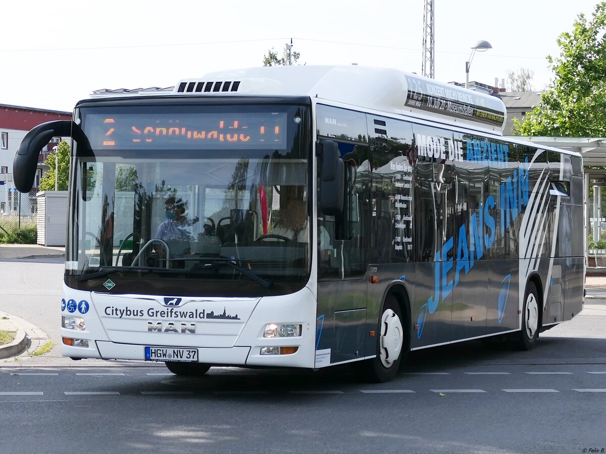 MAN Lion's City CNG der Stadtwerke Greifswald in Greifswald.