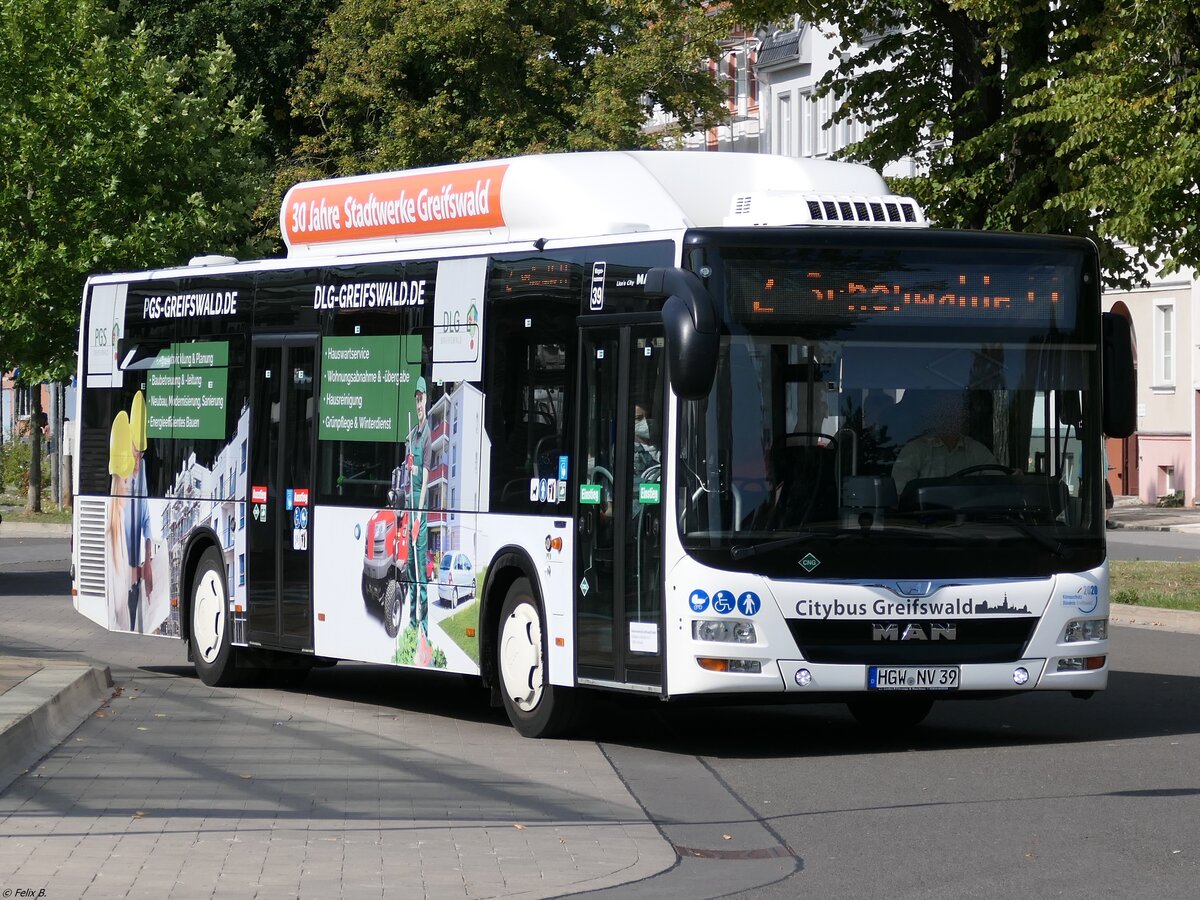 MAN Lion's City CNG der Stadtwerke Greifswald in Greifswald.