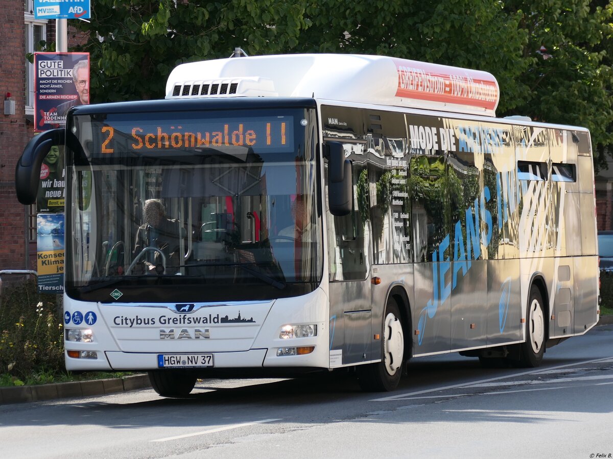 MAN Lion's City CNG der Stadtwerke Greifswald in Greifswald.