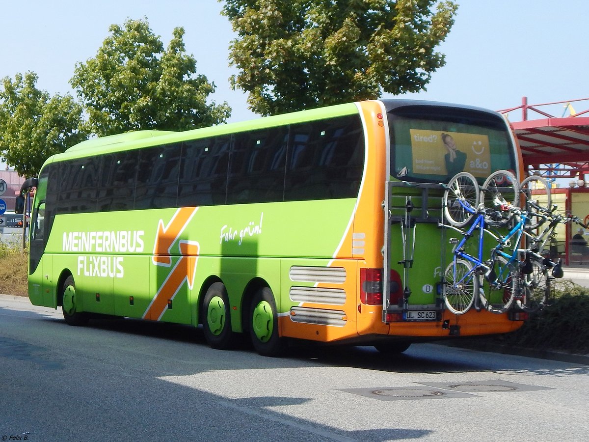 MAN Lion's Coach von Flixbus/Schröder aus Deutschland in Wismar. 