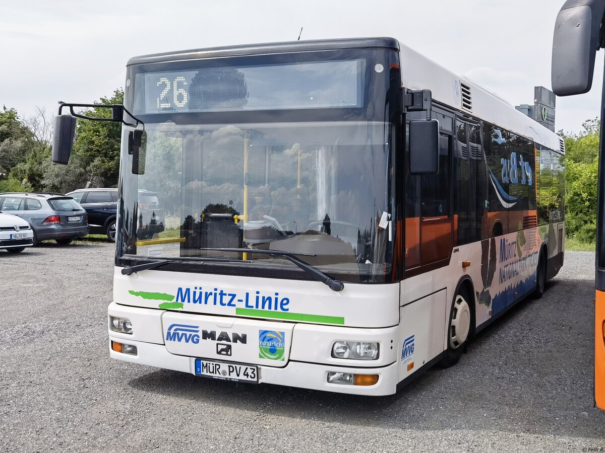 MAN Niederflurbus 2. Generation/Göppel der MVVG in Röbel.