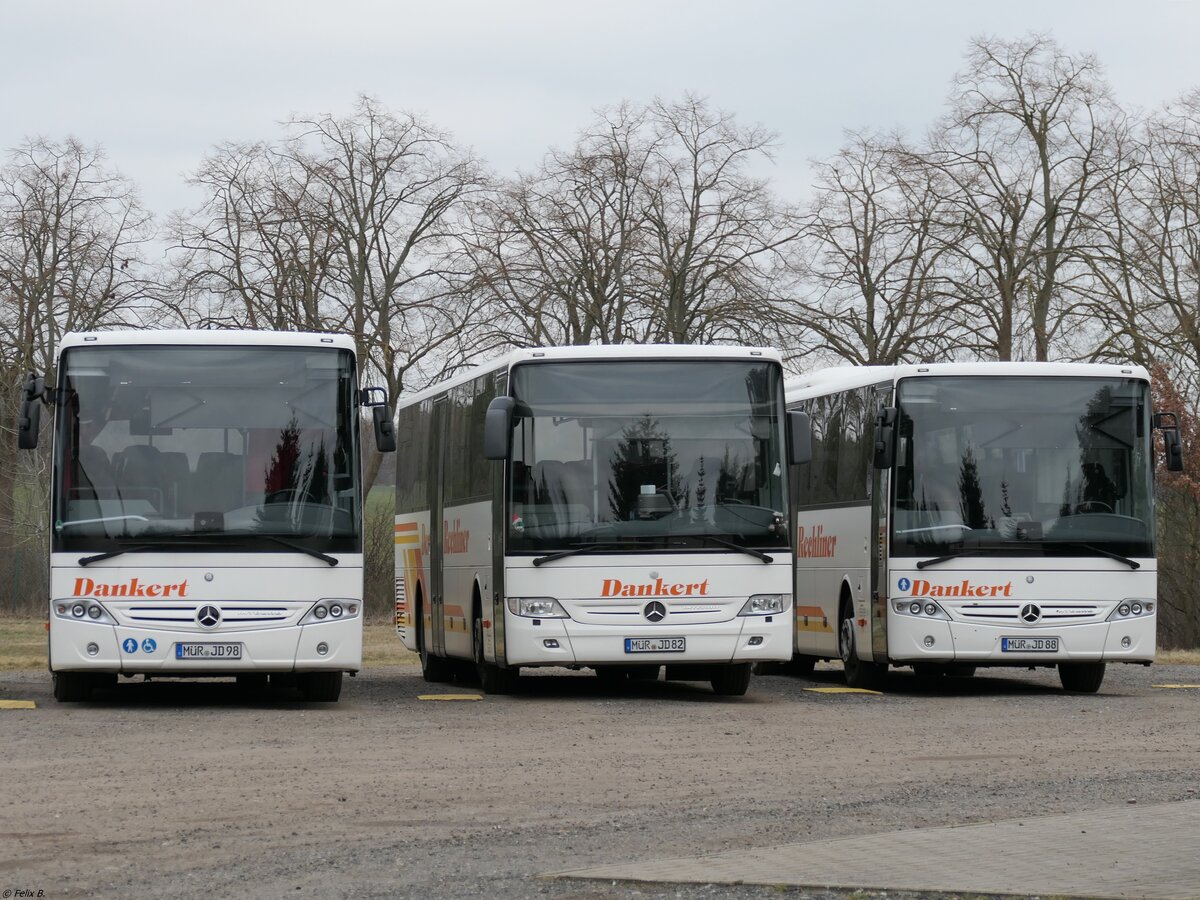 Mercedes Intouro und Mercedes Integro von Dankert aus Deutschland in Rechlin.