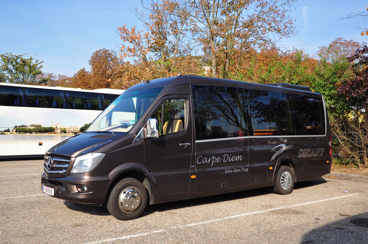 Mercedes Sprinter 519 Bluetec von Dikany Reisen aus �sterreich in Krems.