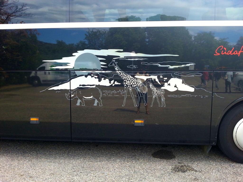 Sch�nes Seitendekor am Setra 517 HD  S�dafrika  von H�ffmann Reisen aus der BRD.