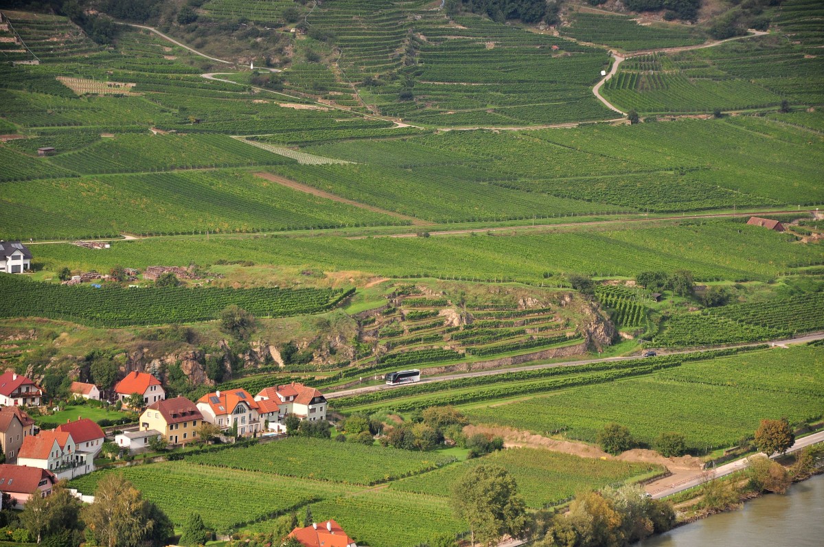 Setra von Krautgartner aus �sterreich hier in Loiben in der Wachau zwischen Krems und D�rnstein / Wachau,linkes Ufer unterwegs.12.9.2014,Aufnahme vom anderen Donauufer auf der Ferdinandswarte aus gemacht!