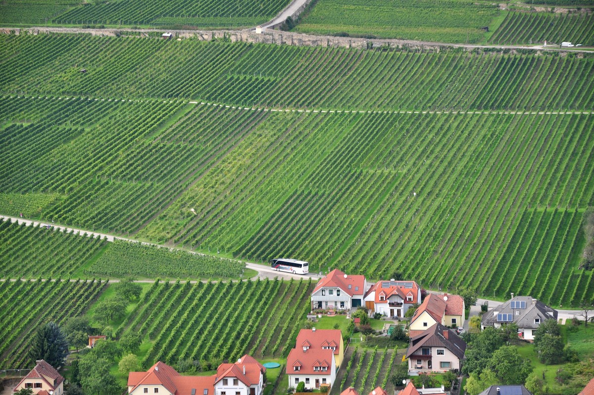 Setra von Krautgartner aus �sterreich hier in Loiben in der Wachau zwischen Krems und D�rnstein / Wachau,linkes Ufer unterwegs.12.9.2014,Aufnahme vom anderen Donauufer auf der Ferdinandswarte aus gemacht!