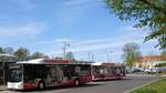Stadtwerke Greifswald MAN CNG am Busbahnhof im Mai 2018 HGW  NV 32/34   