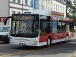 MAN Lion's City CNG der Stadtwerke Greifswald in Greifswald.