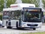 MAN Lion's City CNG der Stadtwerke Greifswald in Greifswald.