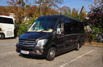 Mercedes Sprinter 519 Bluetec von Dikany Reisen aus �sterreich in Krems.