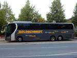 MAN Lion's Coach von Goldschmidt aus Deutschland in Neubrandenburg.