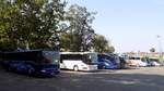 2x Mercedes Tourismo und Setra 415 UL von Becker-Strelitz Reisen aus Deutschland in Rostock.
