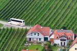 Neoplan Starliner von Elsetaler Reisen aus der BRD hier in Loiben in der Wachau zwischen Krems und D�rnstein / Wachau,linkes Ufer unterwegs.12.9.2014,Aufnahme vom anderen Donauufer auf der