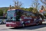 Van Hool T917 Astron von Edtbrustner Reisen aus �sterreich 2017 in Krems.