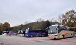 Buntes Busbild in Krems im Oktober 2012,rechts ein VOLVO 9700 von Optimal reisen aus �sterreich.