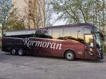 Volvo 9900 von Kormoran aus Polen in Neubrandenburg.