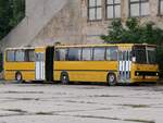 Ikarus 280 vom Technikmuseum Pütnitz (ex Schönebecker Buslinien) in Pütnitz.
