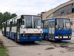 Ikarus 280 vom Technikmuseum Pütnitz (exex Kapos Volán Zrt.