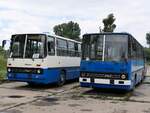 Ikarus 280 vom Technikmuseum Pütnitz (exex Kapos Volán Zrt.