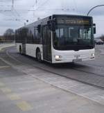 Ein wei�er MAN Lion's City in Potsdam.