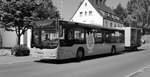 MAN Lion`s City von RhönEnergie unterwegs als RhönRadBus hält an der Haltestelle Eckweisbach im Juni 2019.