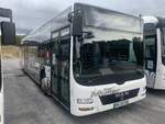 Wagen 7 (Baujahr 2013) von M�ller Reisen wirbt f�r Radioton und steht am 29.8.2020 in Massenbachhausen.