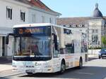 MAN Lion's City/Caetano der VVR in Sassnitz.