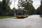 MAN NG 313, Dresdner Verkehrsbetriebe AG
