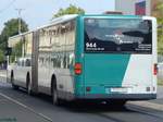 Mercedes Citaro I vom Verkehrsbetrieb Potsdam in Potsdam.