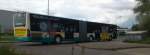DER Citaro NB SW 590...und auch noch die rechte Seite des Citaro mit der HOCO-Möbel Werbung wo auch hier zu erwähnen ist das jede Seite ein anderes Traffic Board bekommen hat wo eine andere