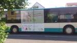Citaro Facelift  NB SW 581.....und auch die Fahrerseite mit der Apothekenwerbung die dieser wagen jetzt schon eine ganze Weile hat
