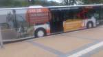 .....der citaro der Stadtwerke Greifswald mit der Werbung f�r regionalen Strom 