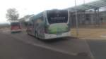....HGW NV 26 dieser Citaro mit der Werbung f�r die Gartenwelt Mei�ner 