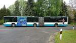 ....NB SW 584 am Waldfriedhof auf der Linie 8 mit seinem Traffic Board f�r Lutz Berufsbekleidung  (Mai 2017)