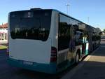 Mercedes Citaro II der Neubrandenburger Verkehrsbetriebe in Neubrandenburg.