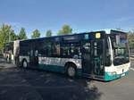 Mercedes Citaro II der Neubrandenburger Verkehrsbetriebe in Neubrandenburg.