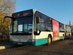 Mercedes Citaro II der Neubrandenburger Verkehrsbetriebe in Neubrandenburg.