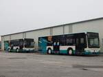 Mercedes Citaro II der Neubrandenburger Verkehrsbetriebe in Neubrandenburg.