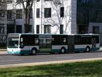 Mercedes Citaro II der Neubrandenburger Verkehrsbetriebe in Neubrandenburg.