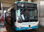Mercedes Citaro III der Neubrandenburger Verkehrsbetriebe in Neubrandenburg.