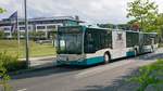 ....NB SW 596 der Stadtwerke Neubrandenburg einer der zwei neuen Citaro mit einigen Ver�nderungen an den Bussen und mittlerweile auch schon mit Werbung f�r ein Restaurant der Stadt Neubrandenburg hier
