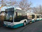Mercedes Citaro III der Neubrandenburger Verkehrsbetriebe in Neubrandenburg.