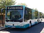 Mercedes Citaro III der Neubrandenburger Verkehrsbetriebe in Neubrandenburg.